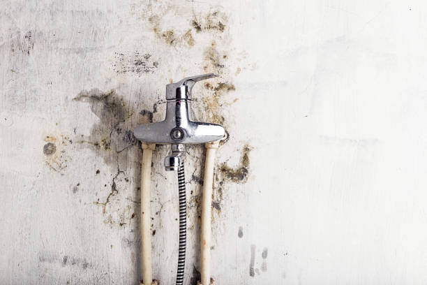 Best Mold Remediation for Specific Building Types in Atlantic Highlands, NJ