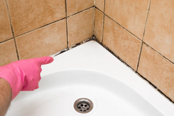 Best Mold Testing and Inspection Services in Atlantic Highlands, NJ